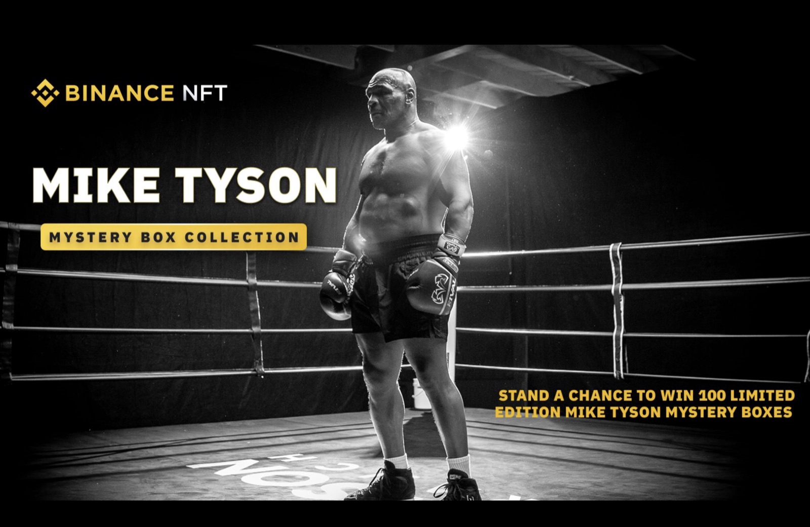 Mike Tyson x Binance NFT Collection